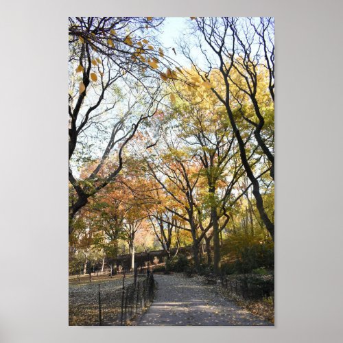 Riverside Park Fall Foliage New York Autumn NYC Poster