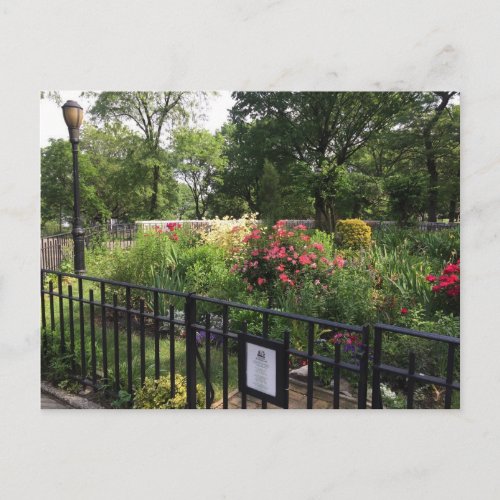 Riverside Park Garden New York City NYC Postcard