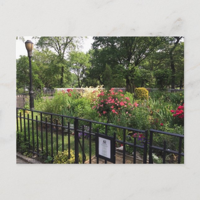 Riverside Park Garden New York City NYC Postcard (Front)