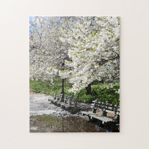 Riverside Park Spring Cherry Blossoms New York NYC Jigsaw Puzzle