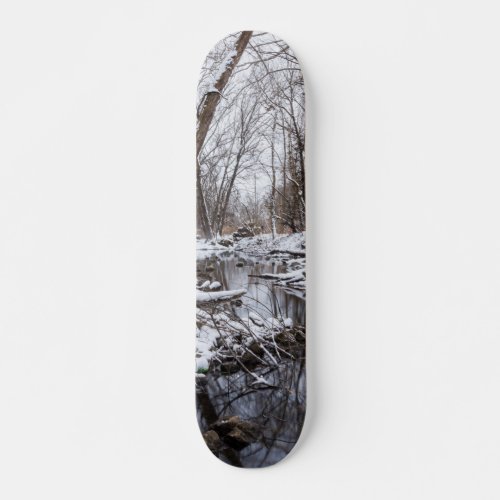 Riverside Snow Skateboard
