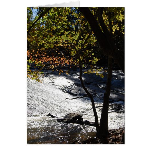 Riverside Sparkles (Front)