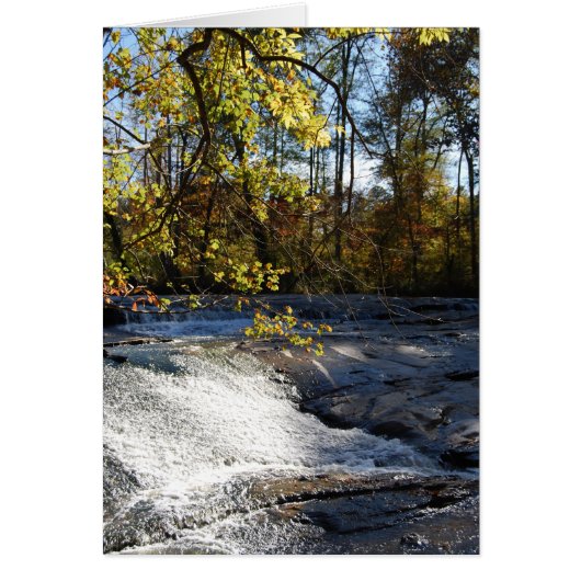 Riverside Sparkles 2 (Front)