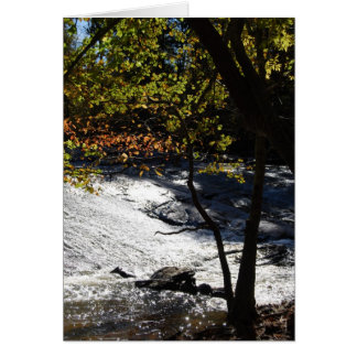 Riverside Sparkles Cards