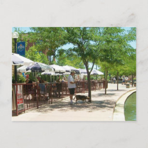 Riverwalk Pueblo Colorado Postcard - Cooper Beagle