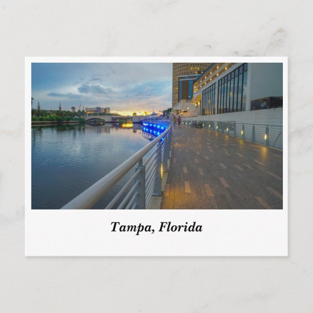 Riverwalk Tampa Florida Postcard (Front)