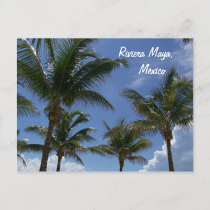 Riviera Maya Cancun Mexico Caribbean Palm Trees Postcard