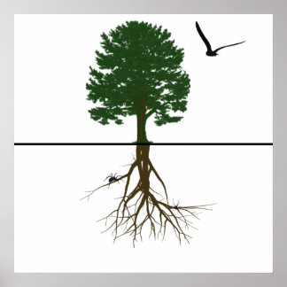 Riyah-Li Designs Roots Poster