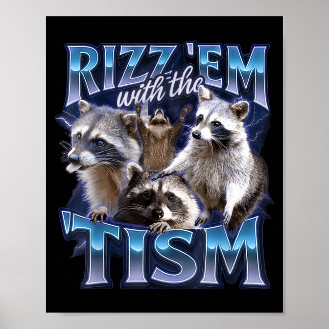 Rizz Em With The Tism Racoon For Men, Women, And K Poster (Front)