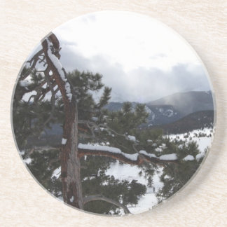 RMNP 1 SANDSTONE COASTER