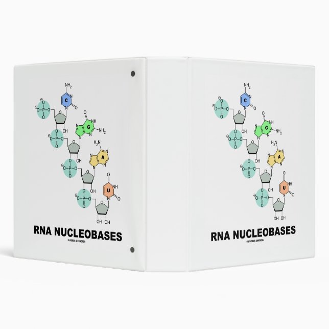 RNA Nucleobases Biochemistry 3 Ring Binder (Background)