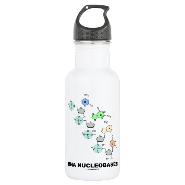 RNA Nucleobases (Biochemistry) Water Bottle (Front)