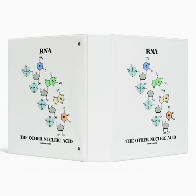 RNA The Other Nucleic Acid Chemical Structure 3 Ring Binder (Background)