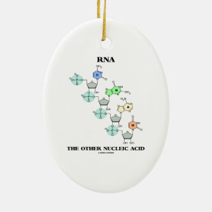 RNA The Other Nucleic Acid (Chemical Structure) Ceramic Ornament