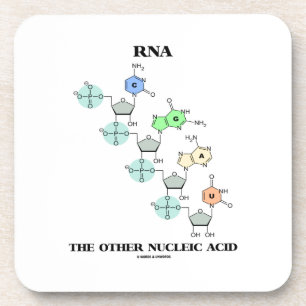 RNA The Other Nucleic Acid (Chemical Structure) Coaster