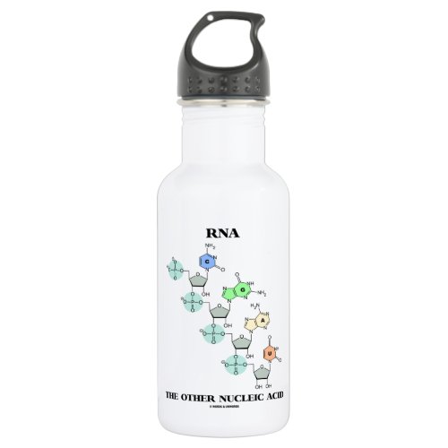 RNA The Other Nucleic Acid Chemical Structure Stainless Steel Water Bottle