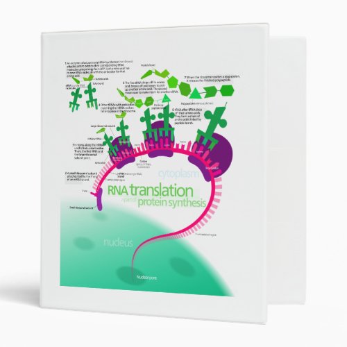 RNA Translation in Protein Synthesis Diagram Binder