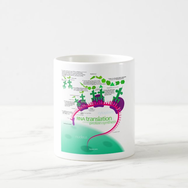 RNA Translation in Protein Synthesis Diagram Coffee Mug (Center)