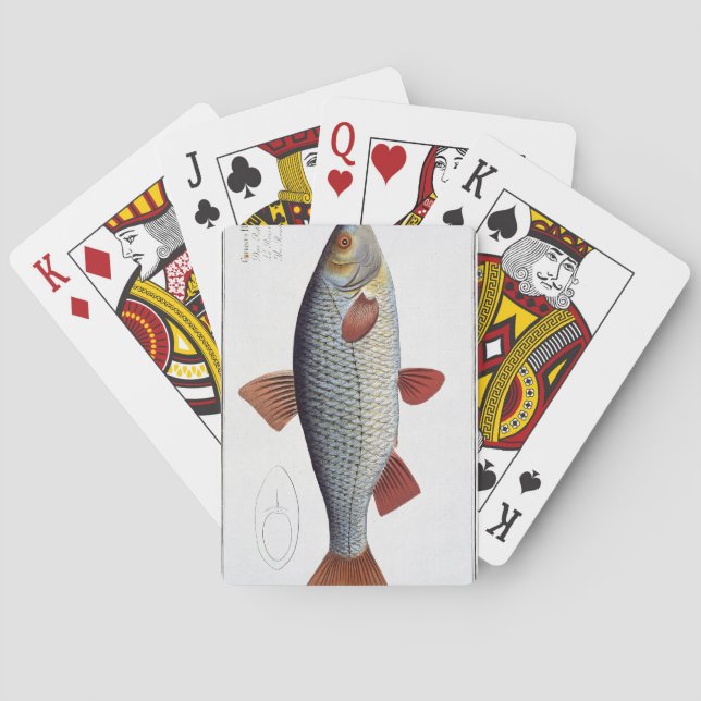 Roach (Cyprinus Rutilis) plate II from 'Ichthyolog Poker Cards (Back)