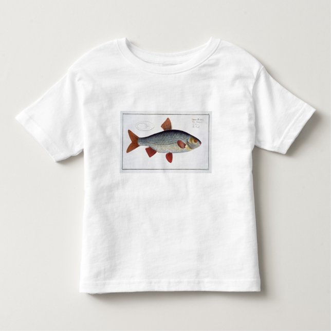 Roach (Cyprinus Rutilis) plate II from 'Ichthyolog Toddler T-shirt (Front)