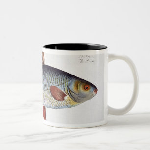 Roach (Cyprinus Rutilis) plate II from 'Ichthyolog Two-Tone Coffee Mug