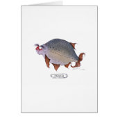 Roach fish, tony fernandes cards (Front)