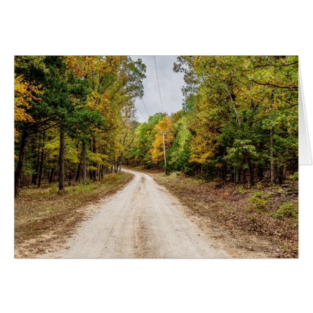 Road At Seasons Change Cards (Front Horizontal)