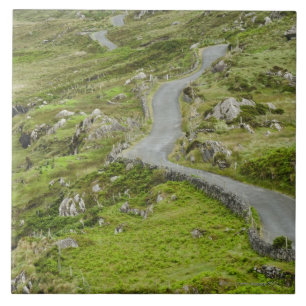 Road between Ballaghacahreen and Caherkeen. Tile
