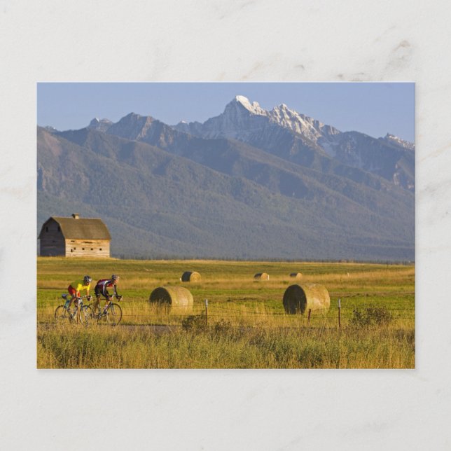 Road bicyclists race down back country road in postcard (Front)