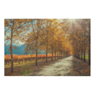 Road by the Vineyard Wood Wall Art