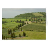 Road from Pienza to Montepulciano, (Front Horizontal)