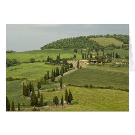 Road from Pienza to Montepulciano, (Front Horizontal)