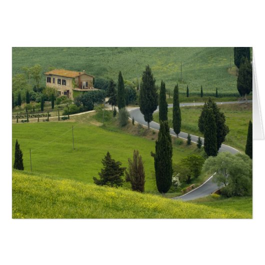Road from Pienza to Montepulciano, 2 (Front Horizontal)