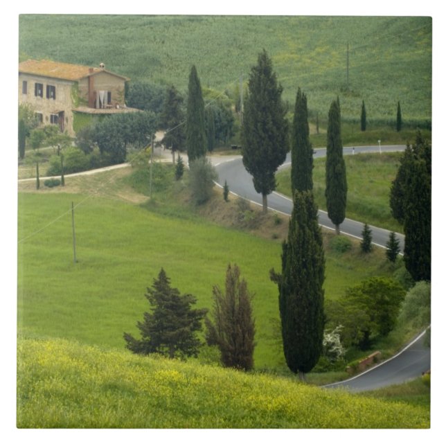 Road from Pienza to Montepulciano, 2 Tile (Front)