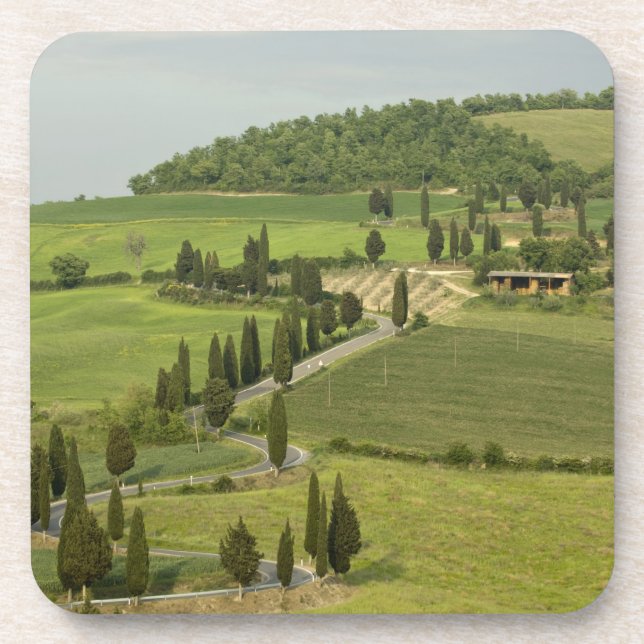 Road from Pienza to Montepulciano, Beverage Coaster (Front)