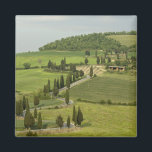 Road from Pienza to Montepulciano, Magnet<br><div class="desc">COPYRIGHT Sergio Pitamitz / DanitaDelimont.com | EU16 SPI0490.jpg | Road from Pienza to Montepulciano,  Monticchiello,  Val d'Orcia,  Siena province,  Tuscany,  Italy.</div>