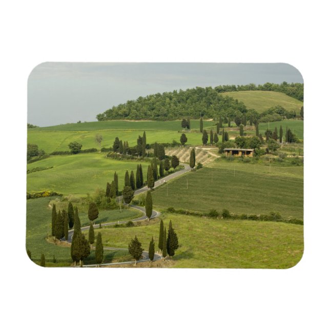 Road from Pienza to Montepulciano, Magnet (Horizontal)