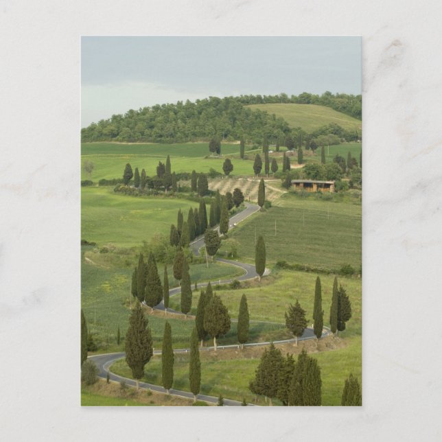 Road from Pienza to Montepulciano, Postcard (Front)