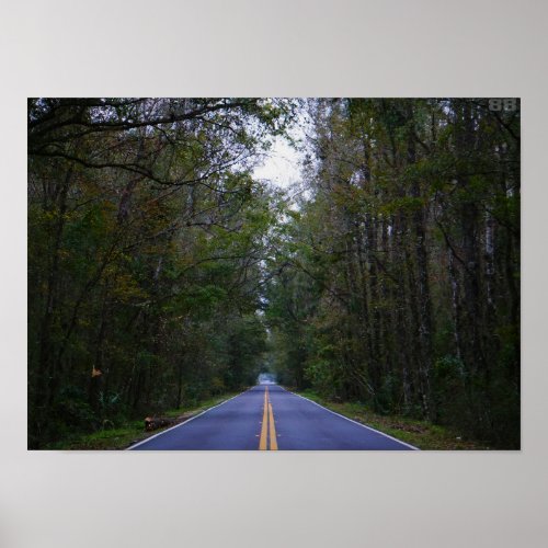 Road going through a forest poster