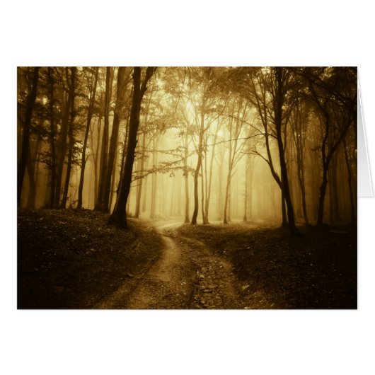 Road in a dark forest with fog cards (Front Horizontal)
