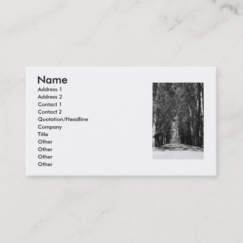 Road In A Park Business Card
