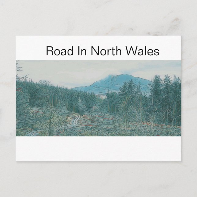 Road In North Wales Postcard (Front)