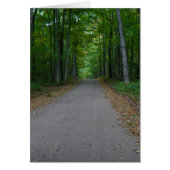 Road in the woods. (Front)