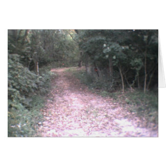 road of life cards