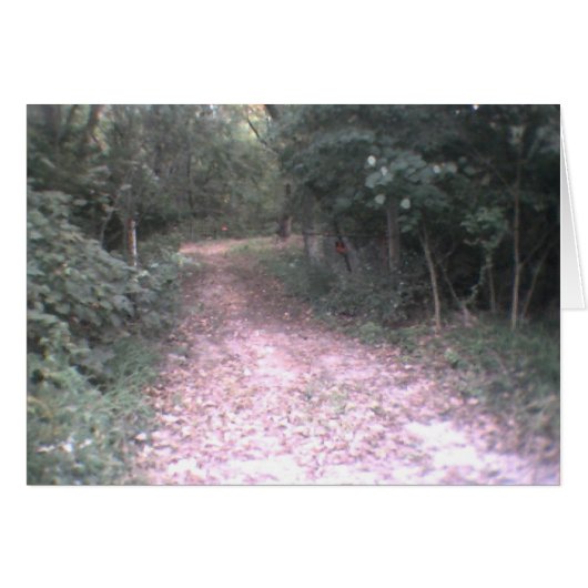 road of life cards (Front Horizontal)