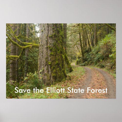 Road Old Growth Tree Save the Elliott State Forest Poster