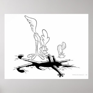 ROAD RUNNER™ and WILE E. COYOTE™ Shaped Hole Poster