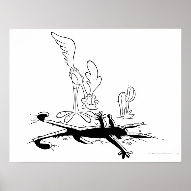 ROAD RUNNER™ and WILE E. COYOTE™ Shaped Hole Poster (Front)