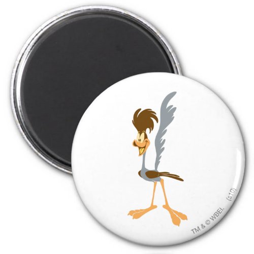 ROAD RUNNER Artistic Magnet