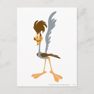 ROAD RUNNER™ Artistic Postcard